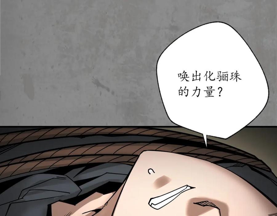 藏锋行 化骊之识 第20页
