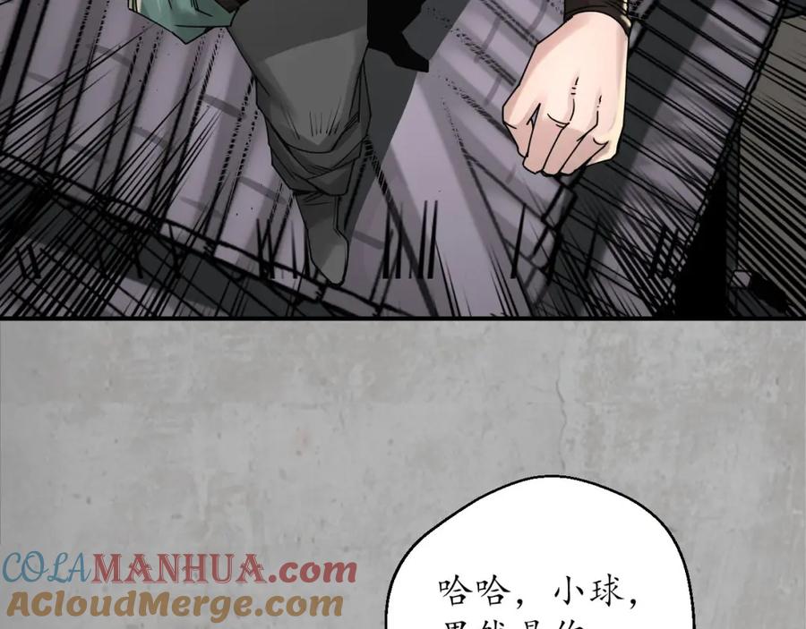 藏锋行 大战前夕 第29页