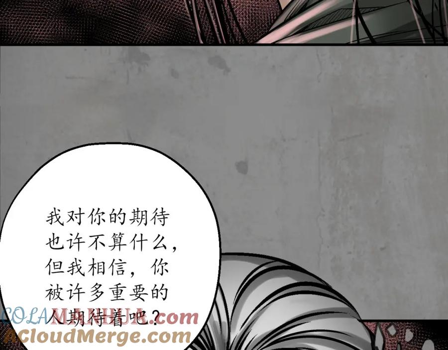 藏锋行 强弩之末 第29页