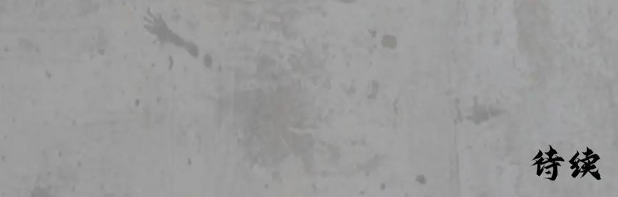 藏锋行 北关献礼 第108页