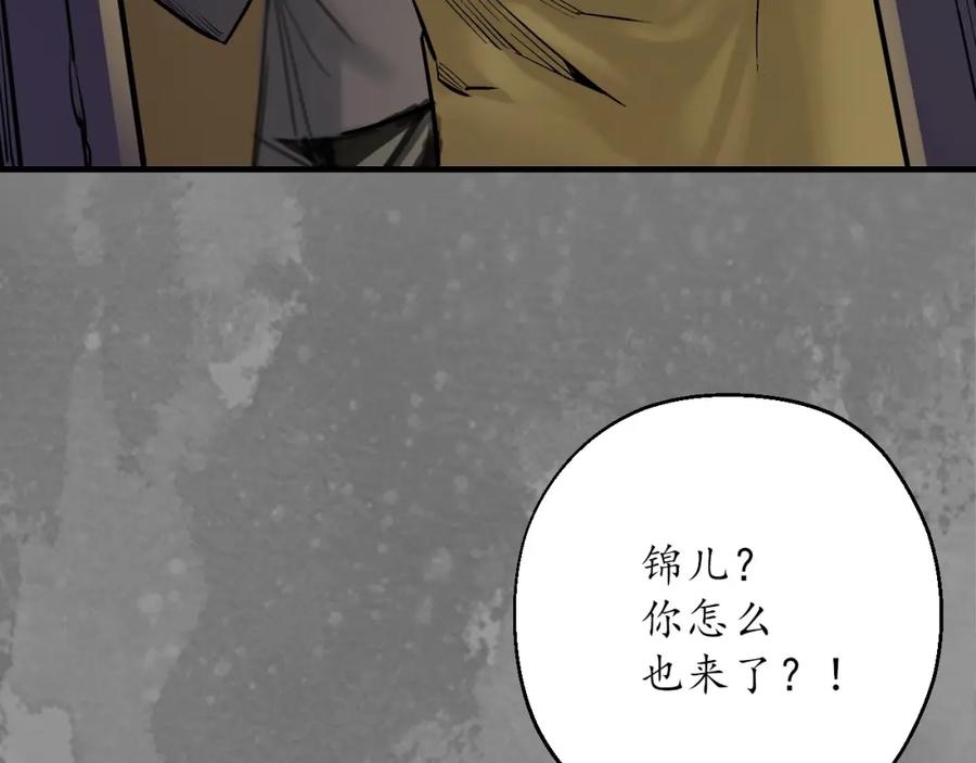 藏锋行 谍网初成 第29页