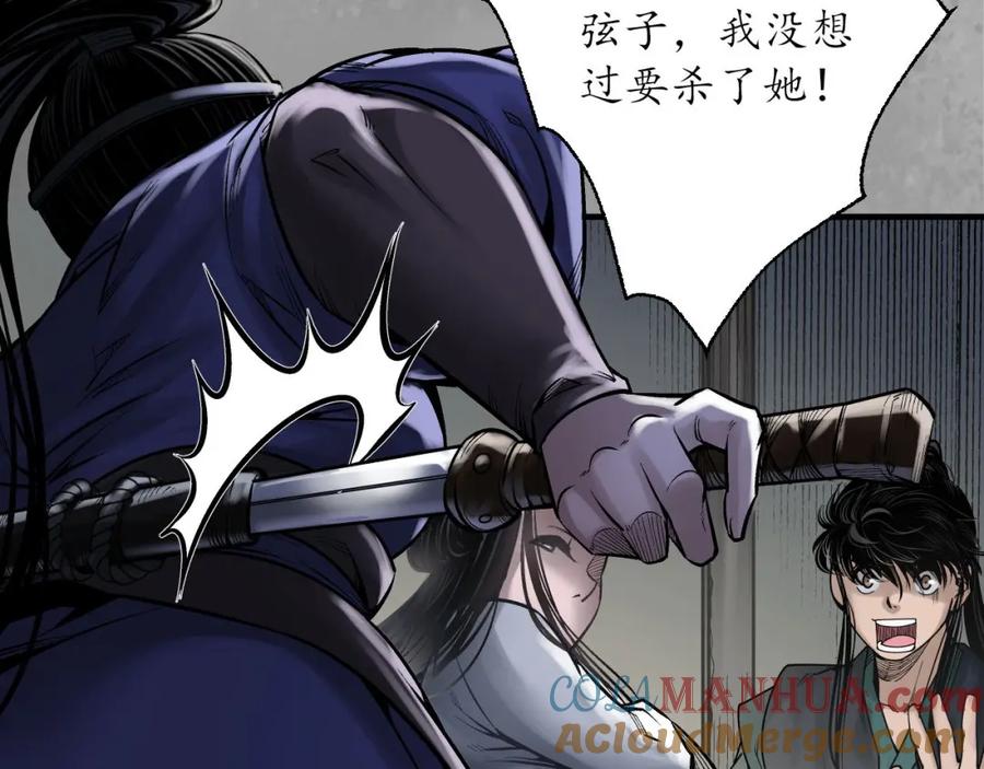 藏锋行 退隐缘由 第13页