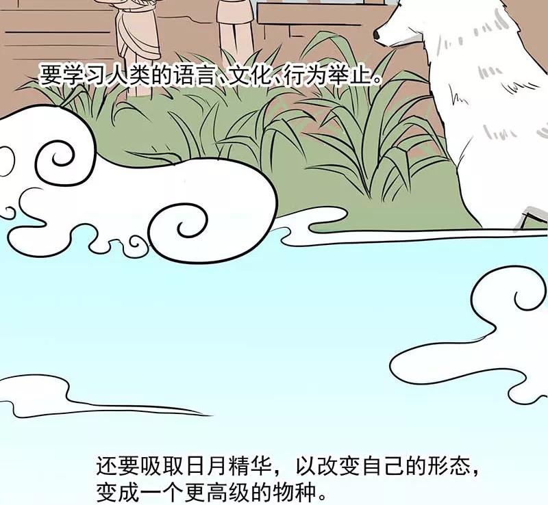 《藏狐报恩》[第3部] 第2话 第26页