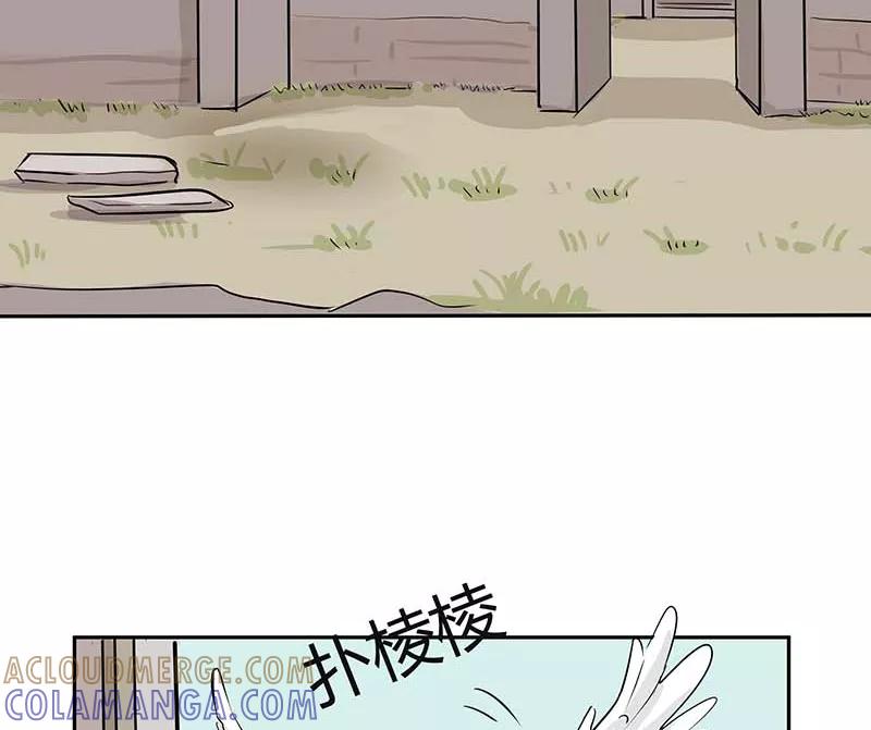 《藏狐报恩》[第3部] 第2话 第4页