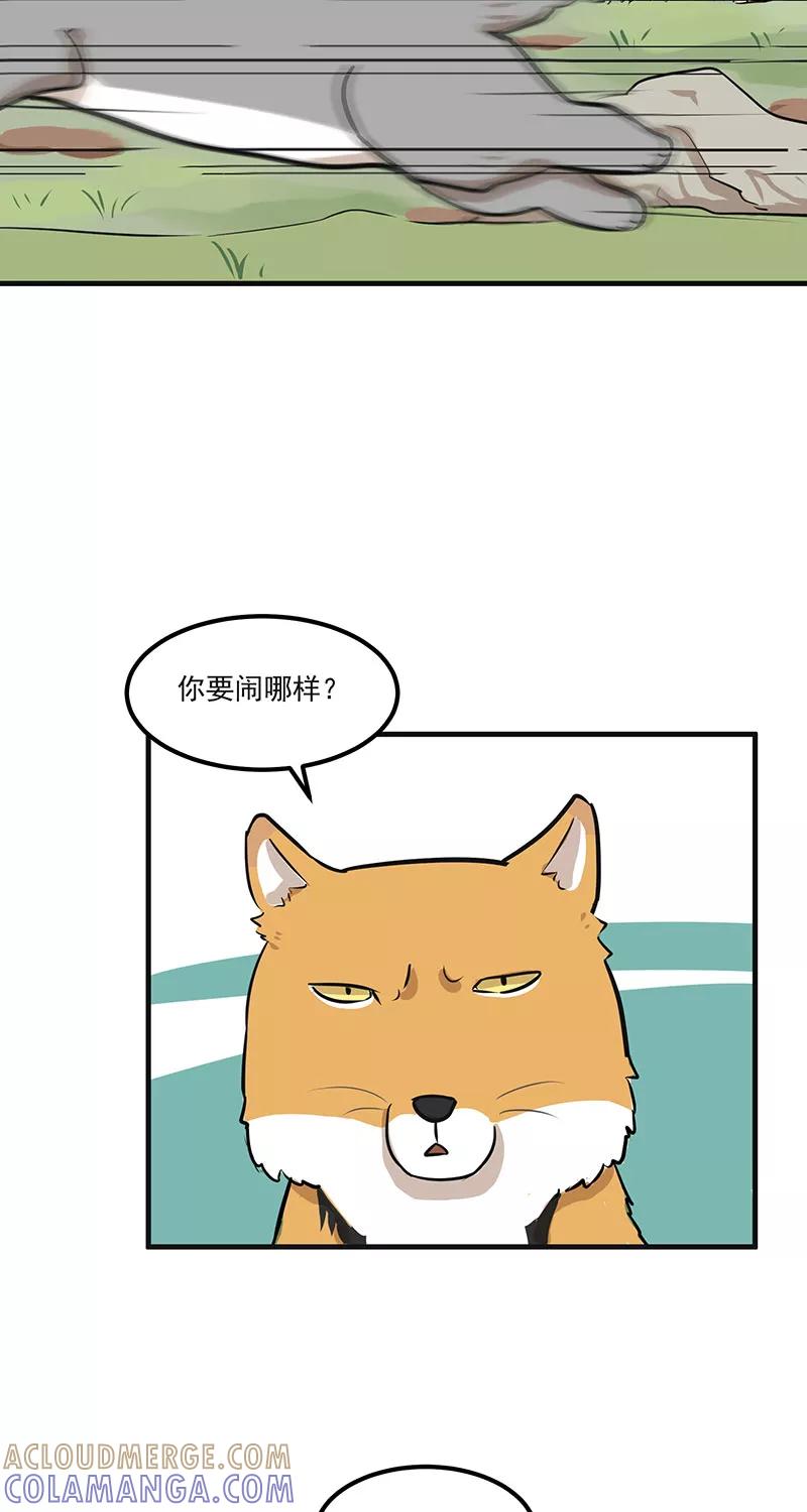 《藏狐报恩》[第2部] 第1话 第19页