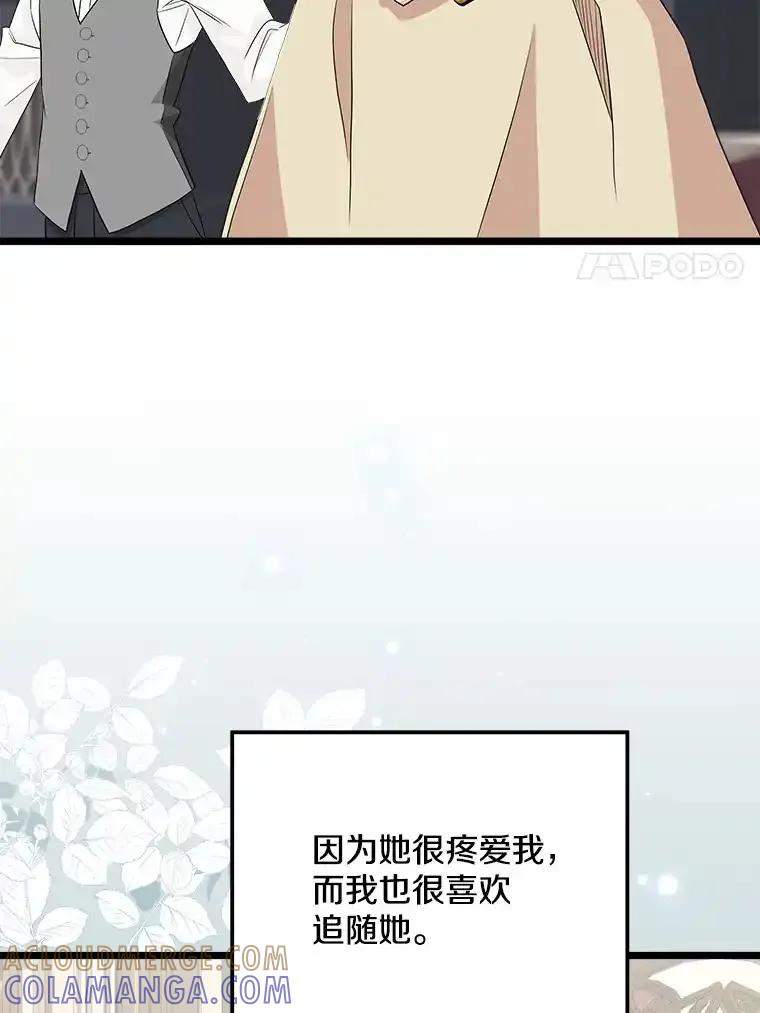 《女仆是悲惨结局收藏家》番外1.残次消亡 第85页