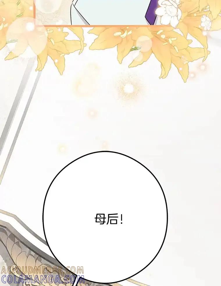 《女仆是悲惨结局收藏家》番外1.残次消亡 第41页