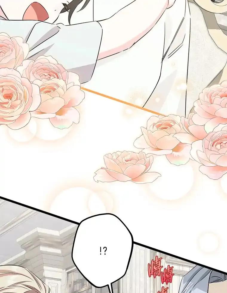 《女仆是悲惨结局收藏家》番外1.残次消亡 第43页