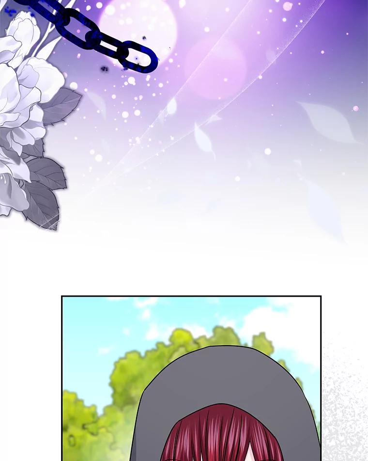 《吞噬太阳的花》59.身份曝光 第47页