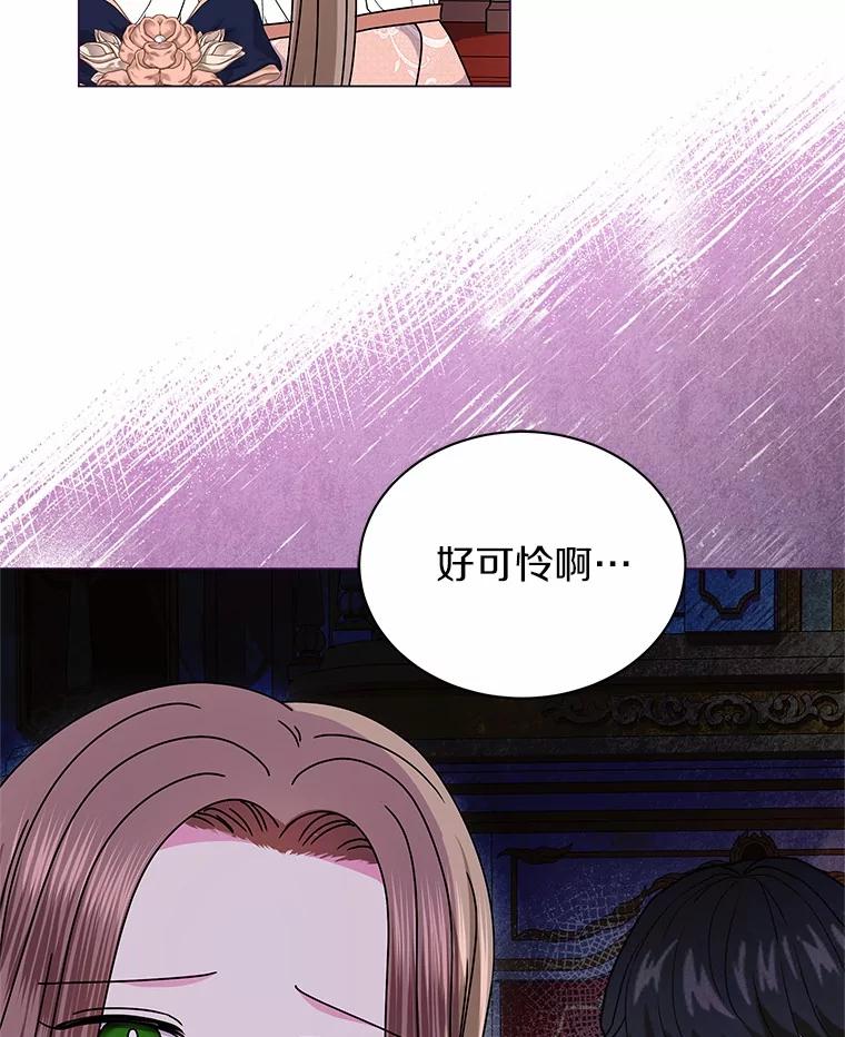 《吞噬太阳的花》62.社交舞会 第16页
