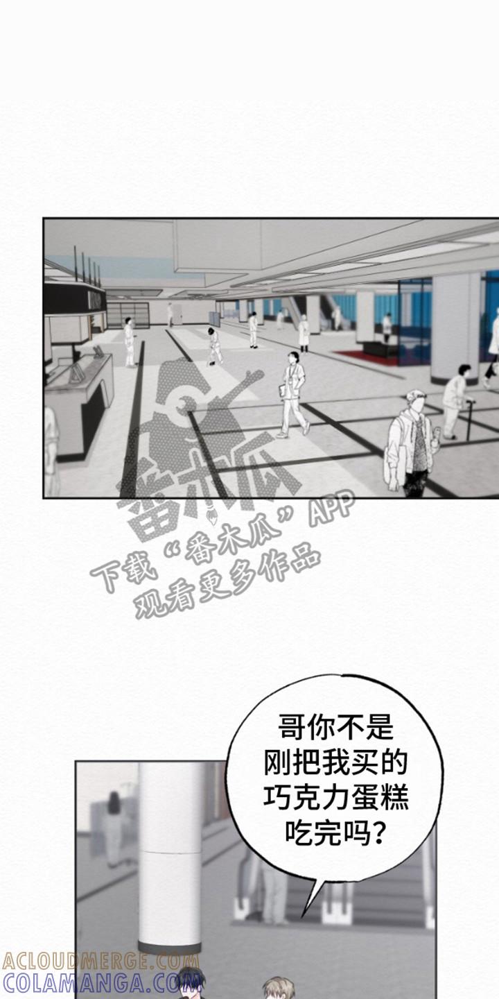 《给记忆添香》第12章：出院 第15页