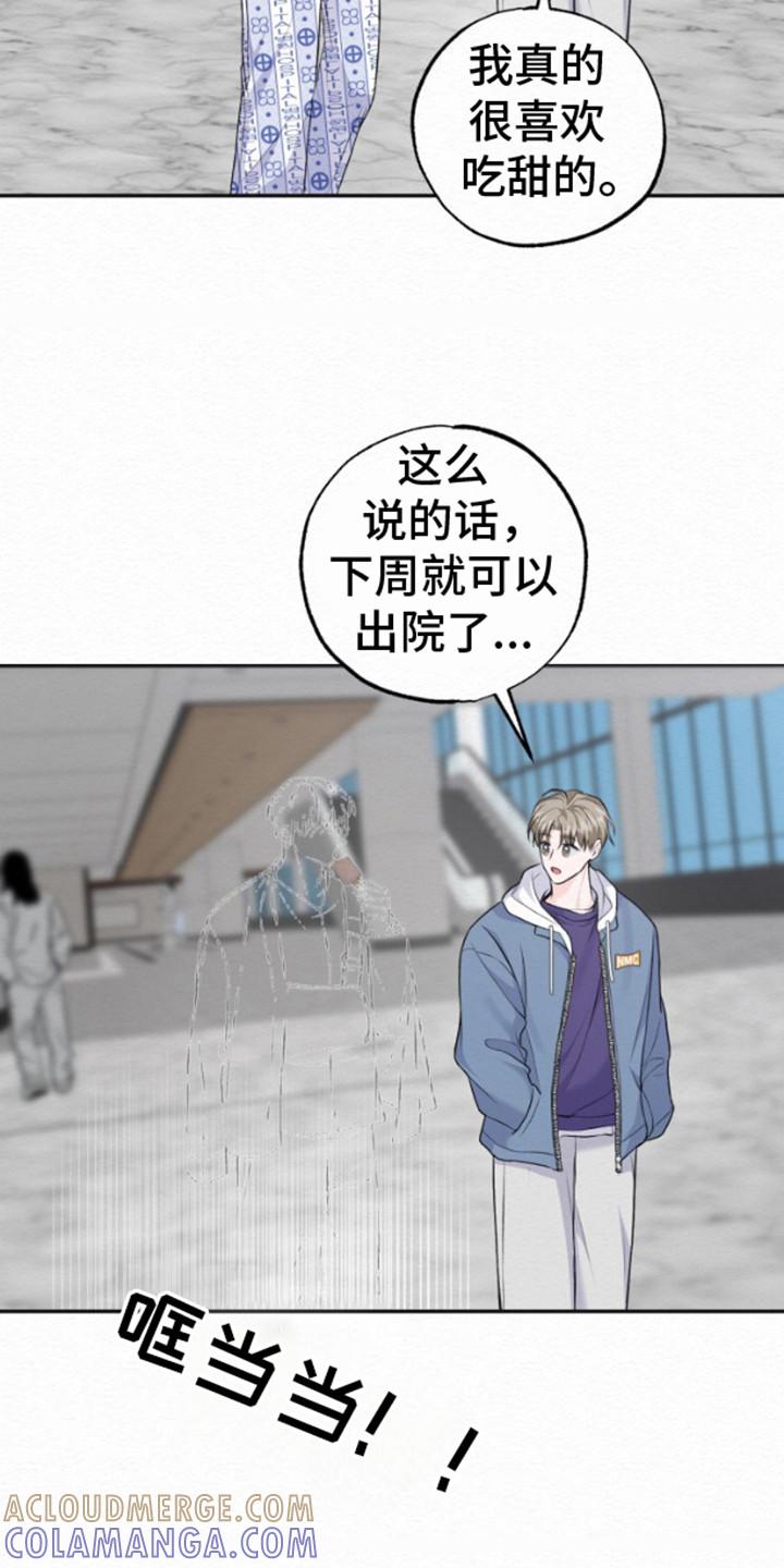 《给记忆添香》第12章：出院 第17页