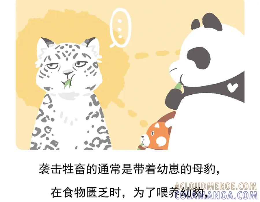 《胖达x胖达》第96话 第29页