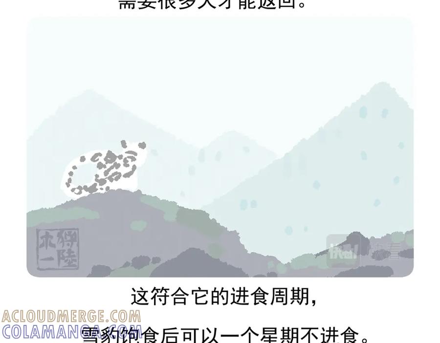 《胖达x胖达》第96话 第25页