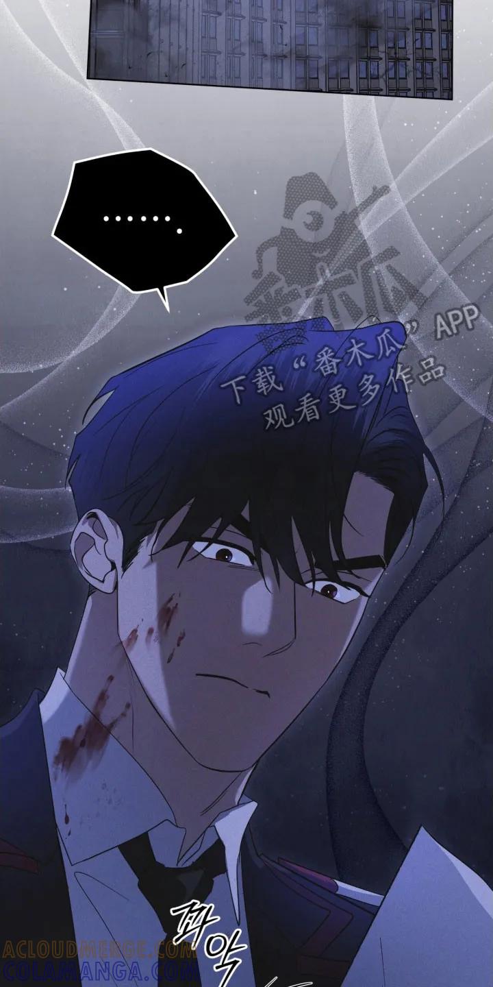 《彩虹城》第160章：【第三季】釜山 第11页