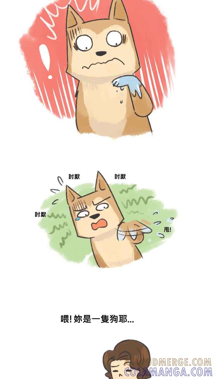 《柴犬周记》第1话 第3页