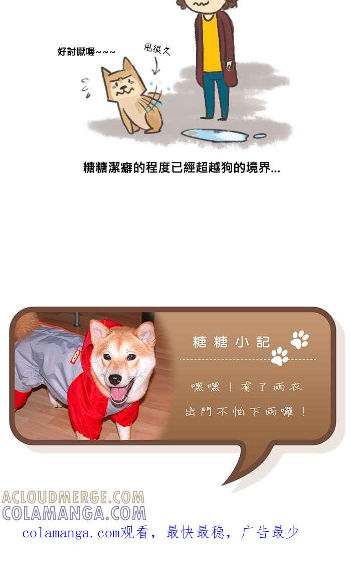 《柴犬周记》第1话 第4页