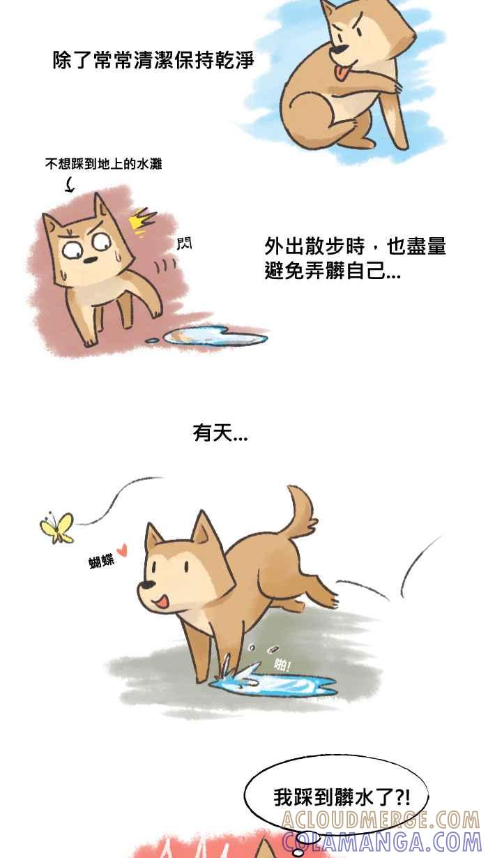 《柴犬周记》第1话 第2页