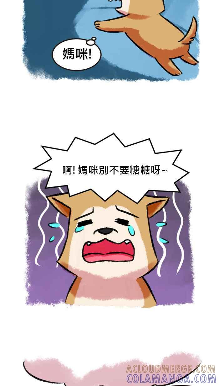 《柴犬周记》第10话 第5页