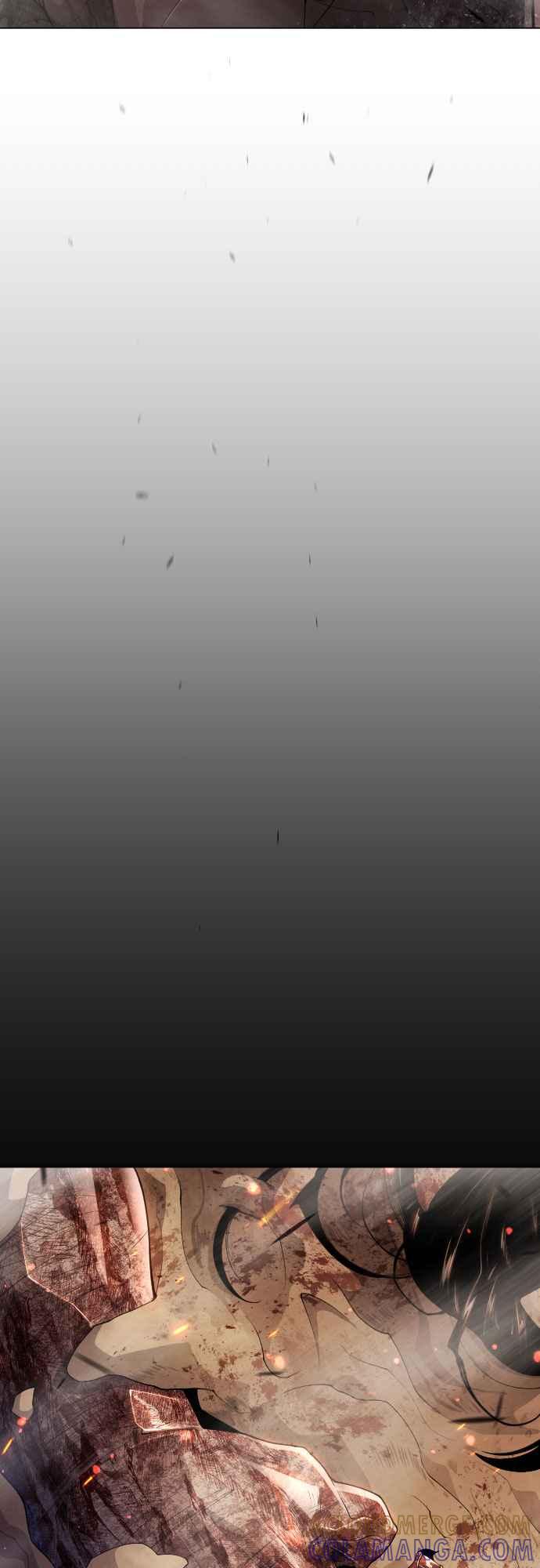79.jpg