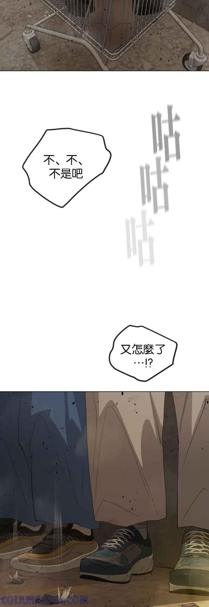 97.jpg