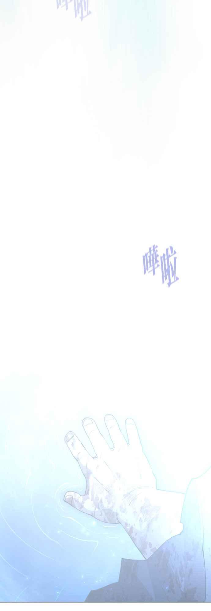 95.jpg