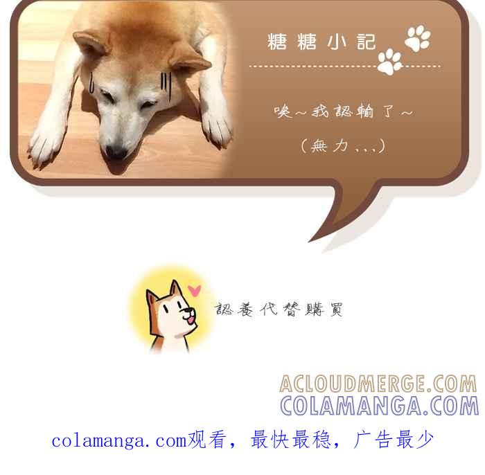 《柴犬周记》第19话 第6页
