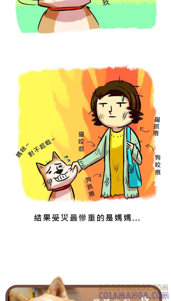 《柴犬周记》第21话 第5页