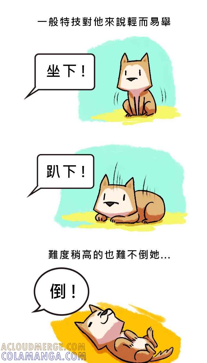 《柴犬周记》第23话 第2页