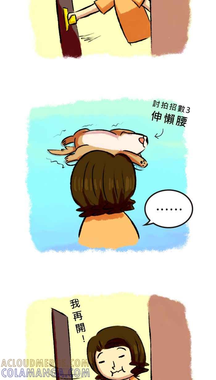 《柴犬周记》第25话 第5页