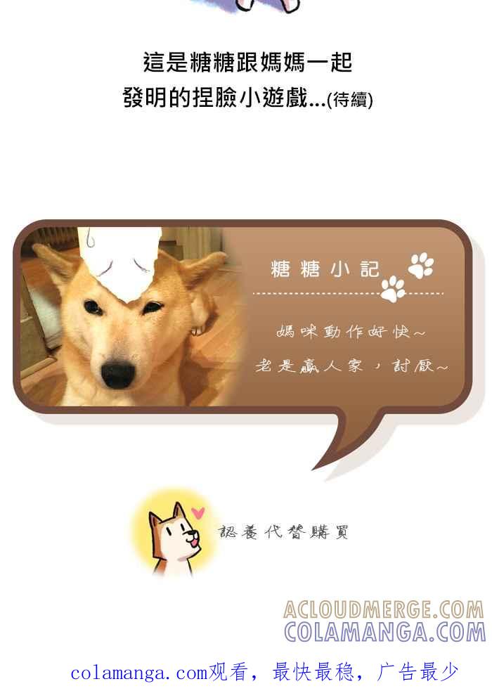 《柴犬周记》第26话 第5页