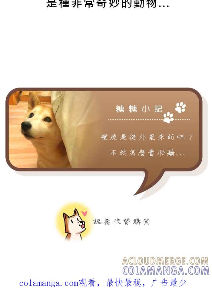 《柴犬周记》第29话 第6页