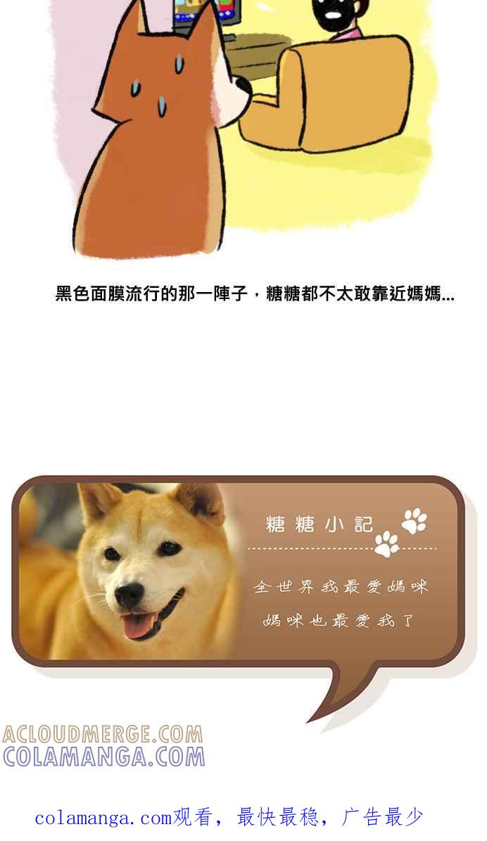 《柴犬周记》第3话 第5页