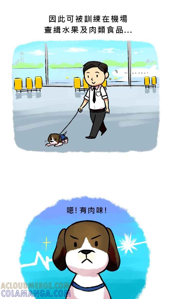 《柴犬周记》第31话 第2页