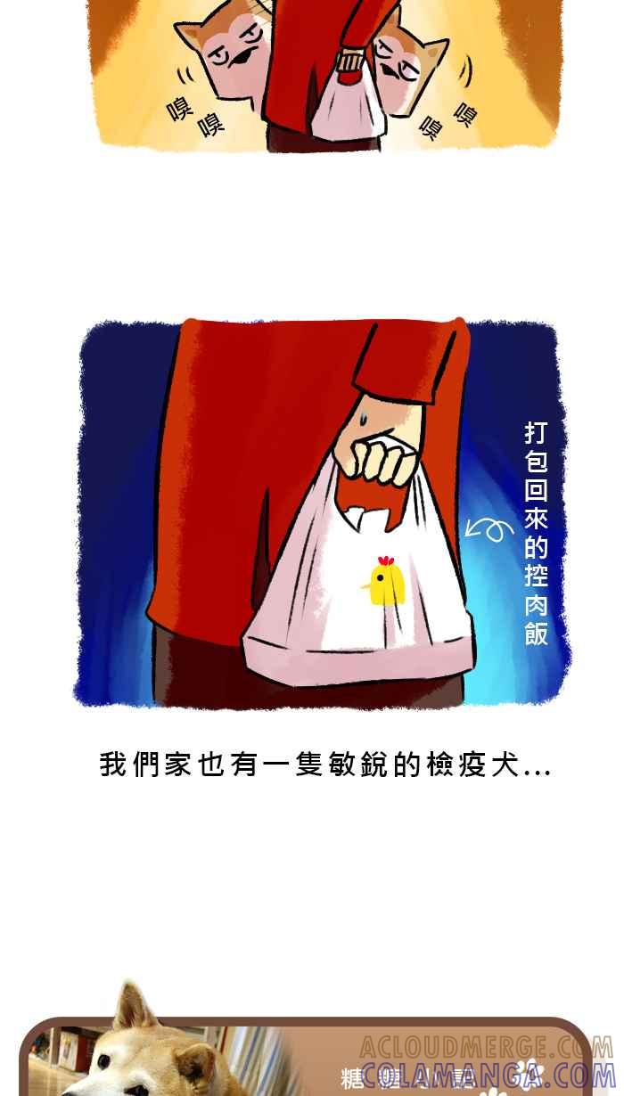 《柴犬周记》第31话 第5页