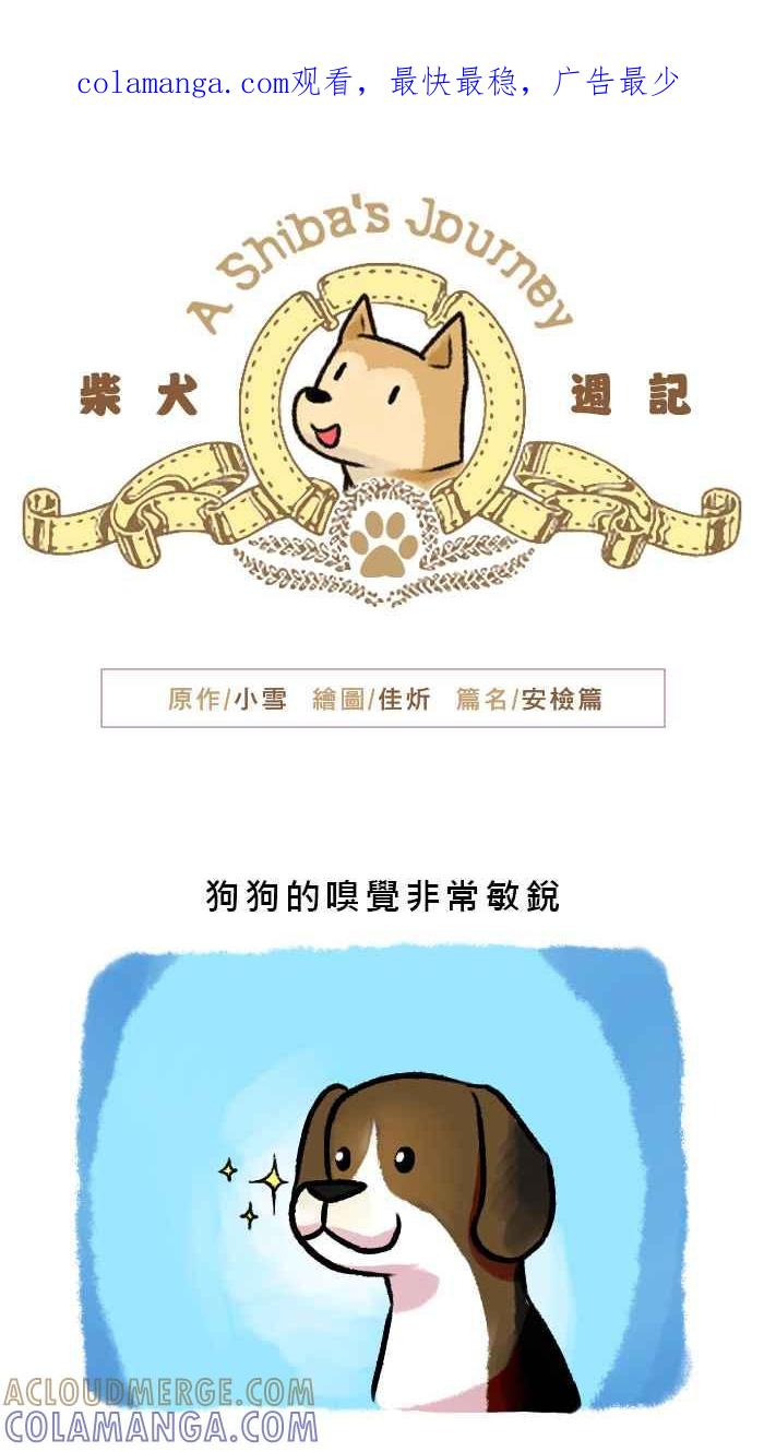 《柴犬周记》第31话 第1页