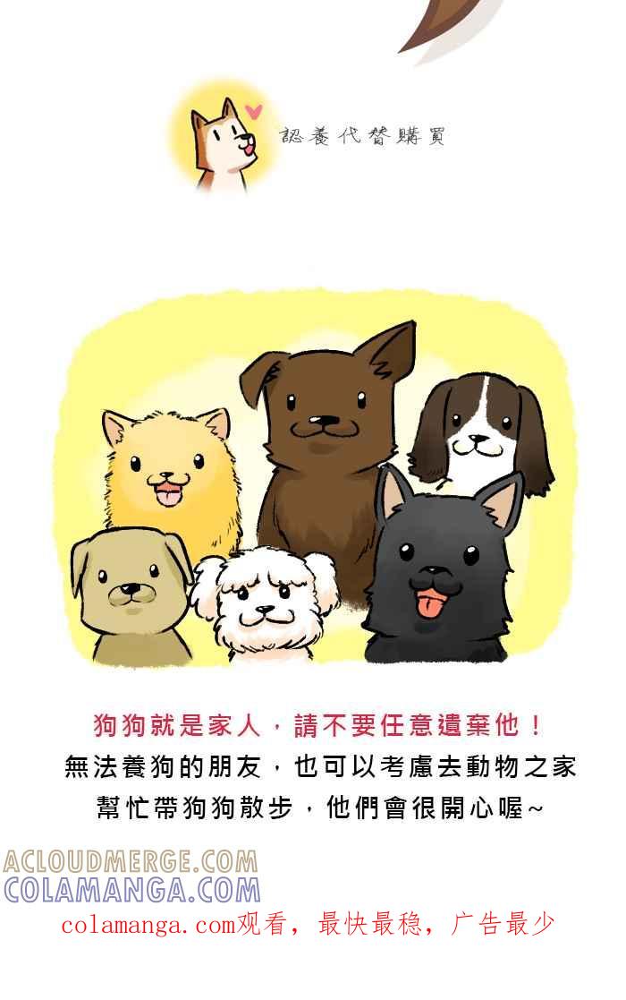 《柴犬周记》第33话 第6页