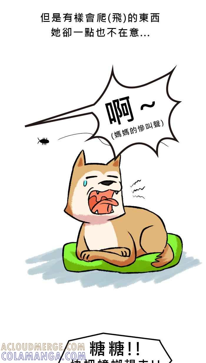 《柴犬周记》第34话 第3页