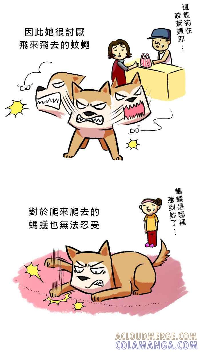 《柴犬周记》第34话 第2页