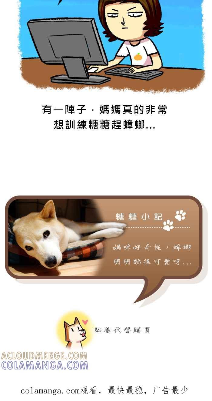 《柴犬周记》第34话 第6页
