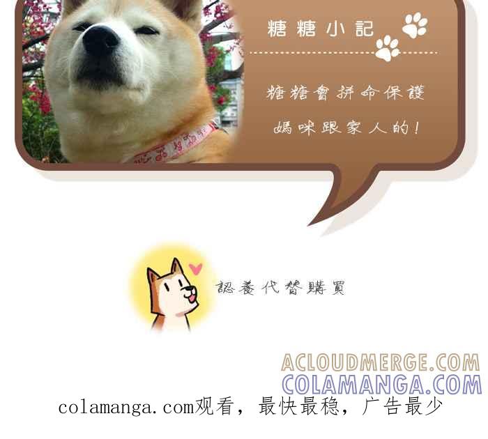 《柴犬周记》第35话 第7页