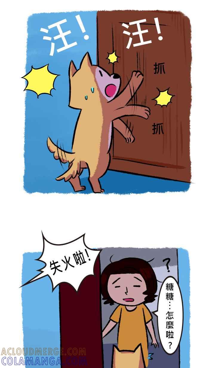 《柴犬周记》第35话 第3页