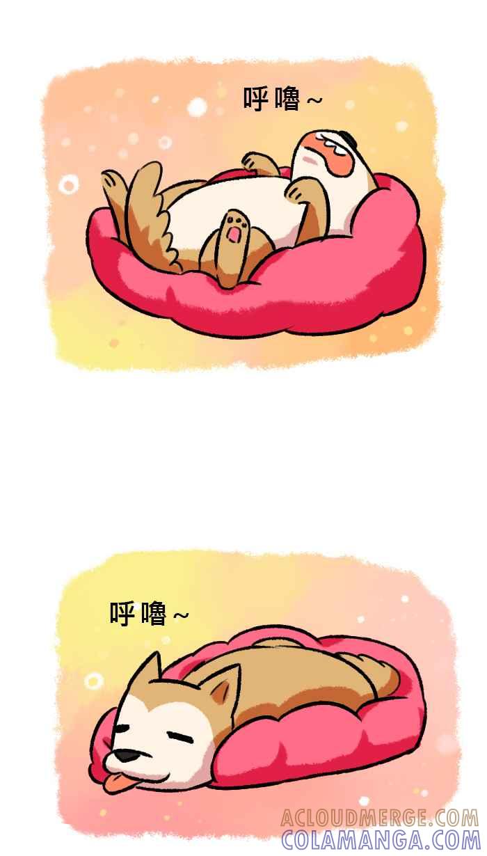 《柴犬周记》第36话 第4页