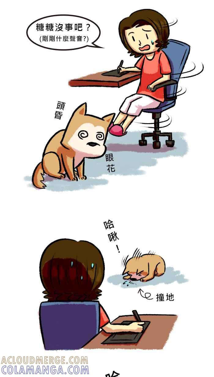 《柴犬周记》第37话 第2页