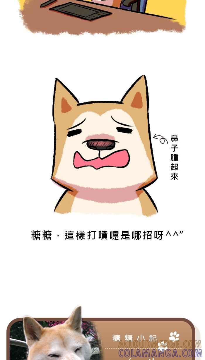《柴犬周记》第37话 第4页