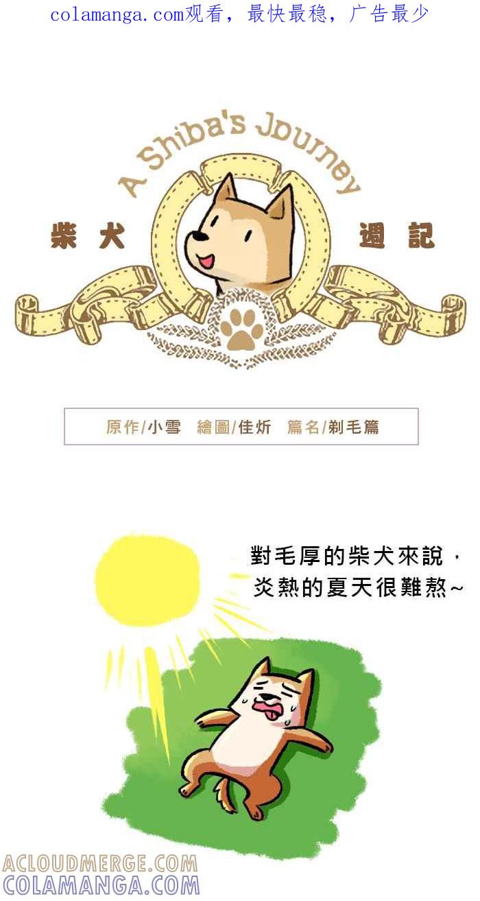《柴犬周记》第38话 第1页
