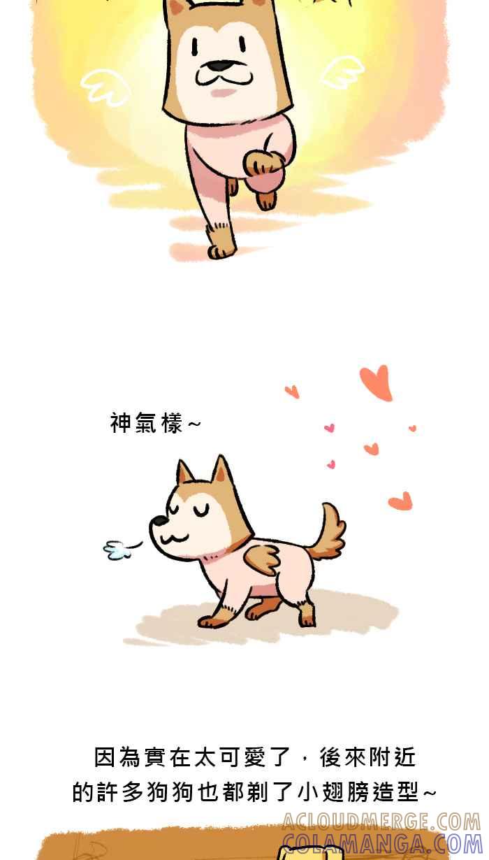 《柴犬周记》第38话 第4页