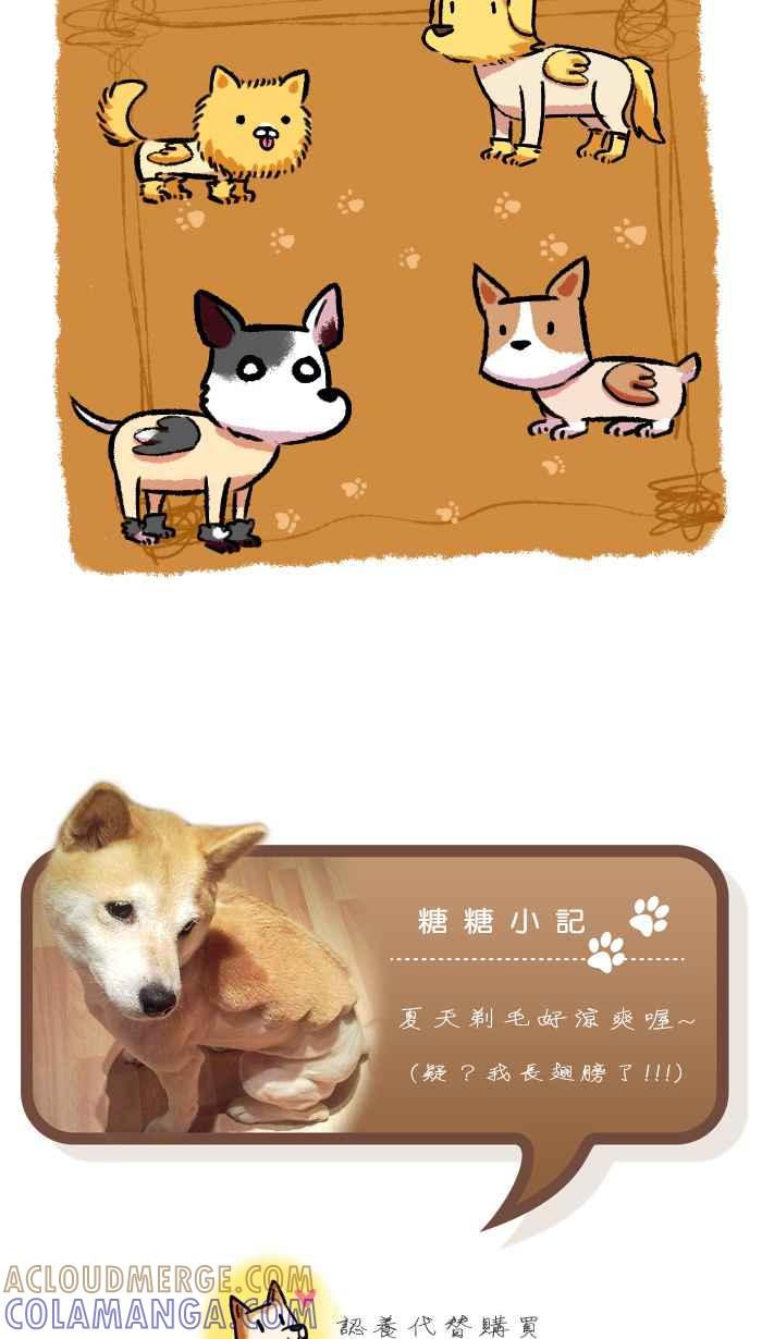 《柴犬周记》第38话 第5页