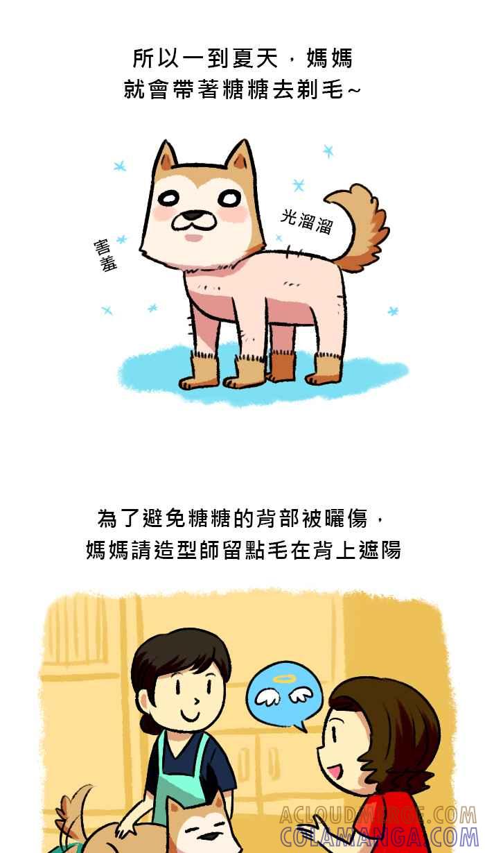 《柴犬周记》第38话 第2页