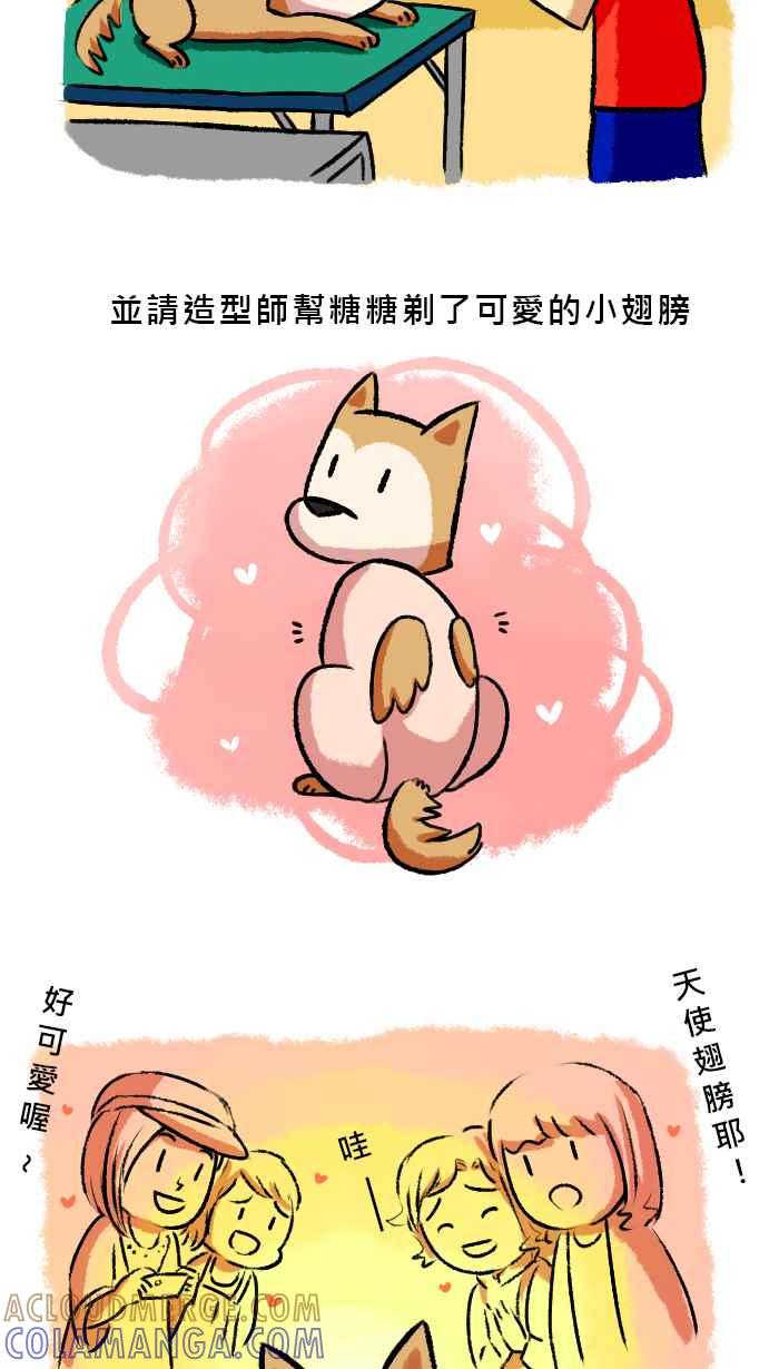 《柴犬周记》第38话 第3页
